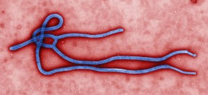 Public Health Officials Closely Monitoring the Threat of Ebola Virus Disease (EVD)