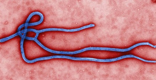 Public Health Officials Closely Monitoring the Threat of Ebola Virus Disease (EVD)
