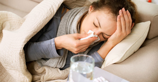 Preventing  Seasonal Flu (Influenza)