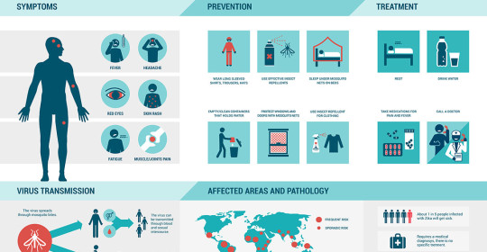 What You Need to Know About Zika Virus