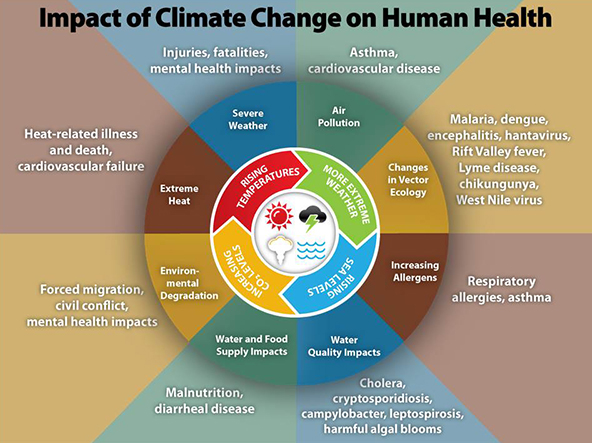 climate_change_health_impacts600w