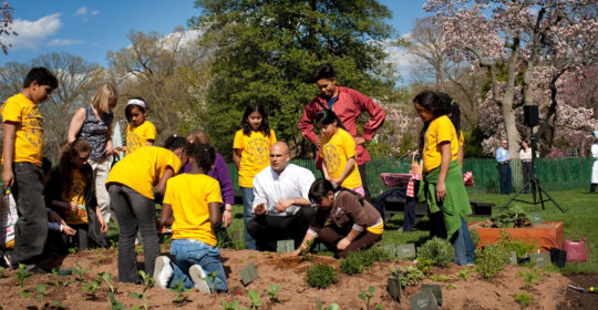 Plants: Partners in Health?  Vegetables, Fruits, Herbs, and You