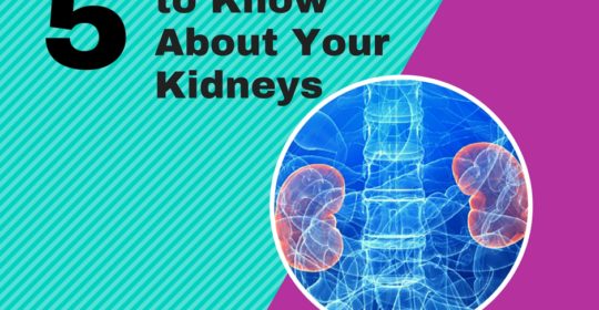 5 Essential Things to Know About Your Kidney
