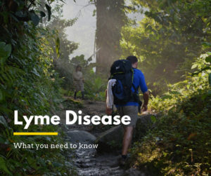 Lyme disease: What you need to know