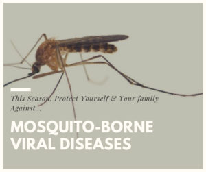 Protect Against Mosquito-Borne Viral Diseases This Season