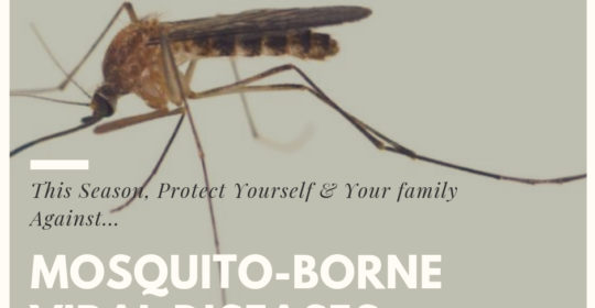 Protect Against Mosquito-Borne Viral Diseases This Season