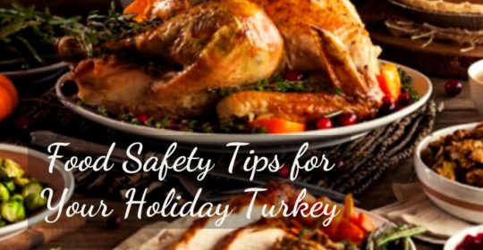 Food Safety Tips for Your Holiday Turkey