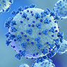 A computer-generated image of the coronavirus